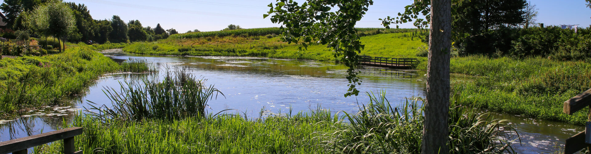 View on quiet peaceful place at dutch hiking trail with idyllic river wetland, lush green meadow and tree against deep blue cloudless summer sky - Neer (Limburg), Netherlands
