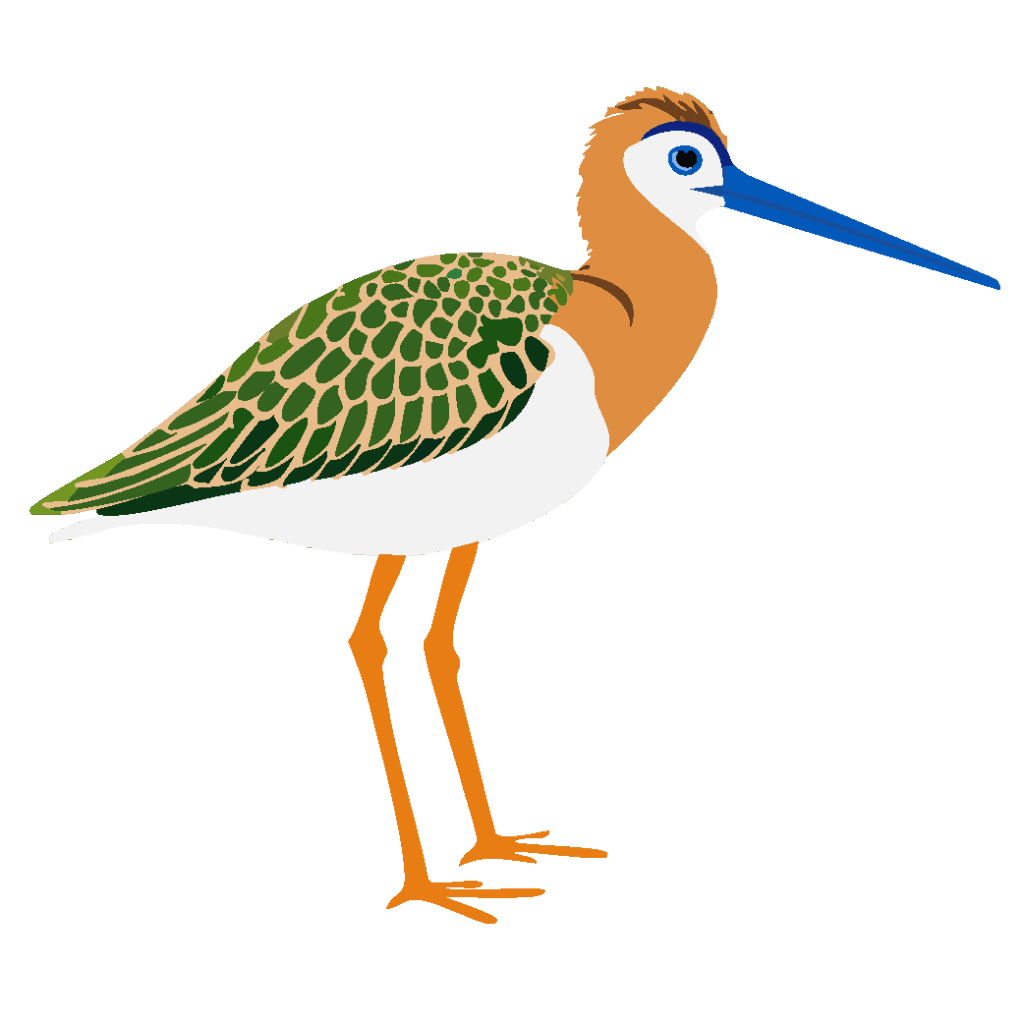 ECCB2026 Registration Fee Waivers